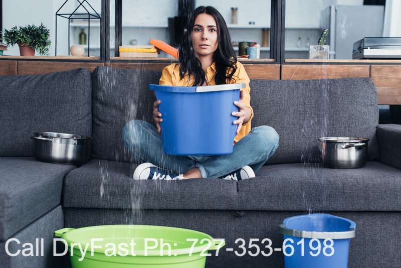 Can you remediate mold yourself?