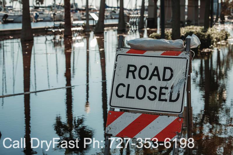 How to properly clean up sewage?