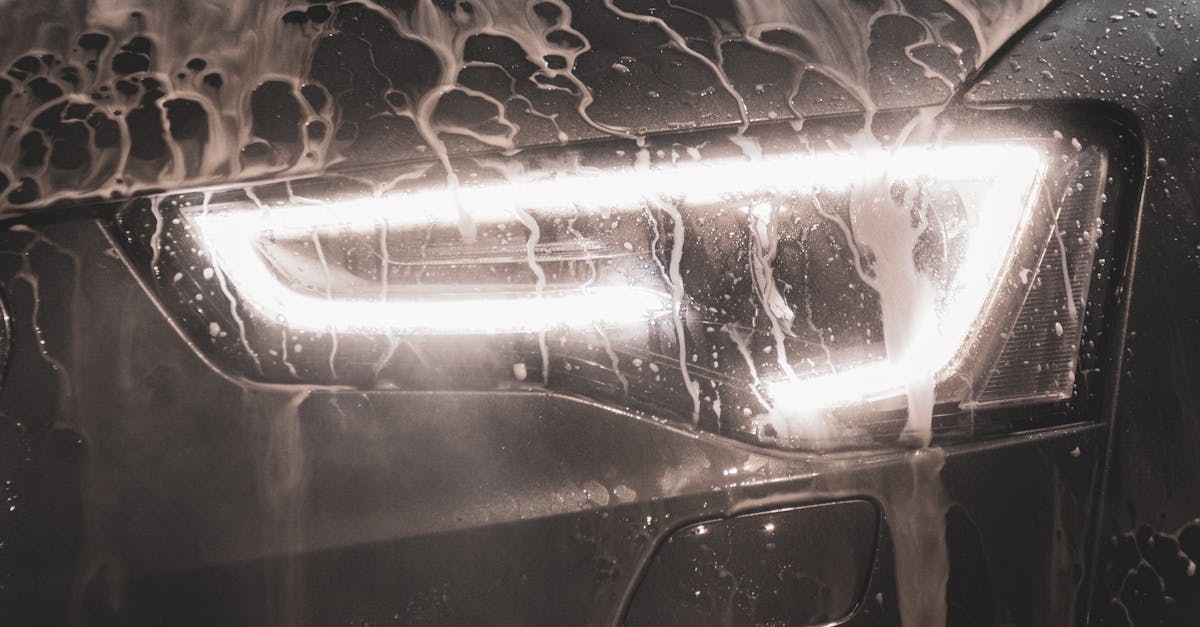 Things to do and places to visit in Four Points, Tallahassee