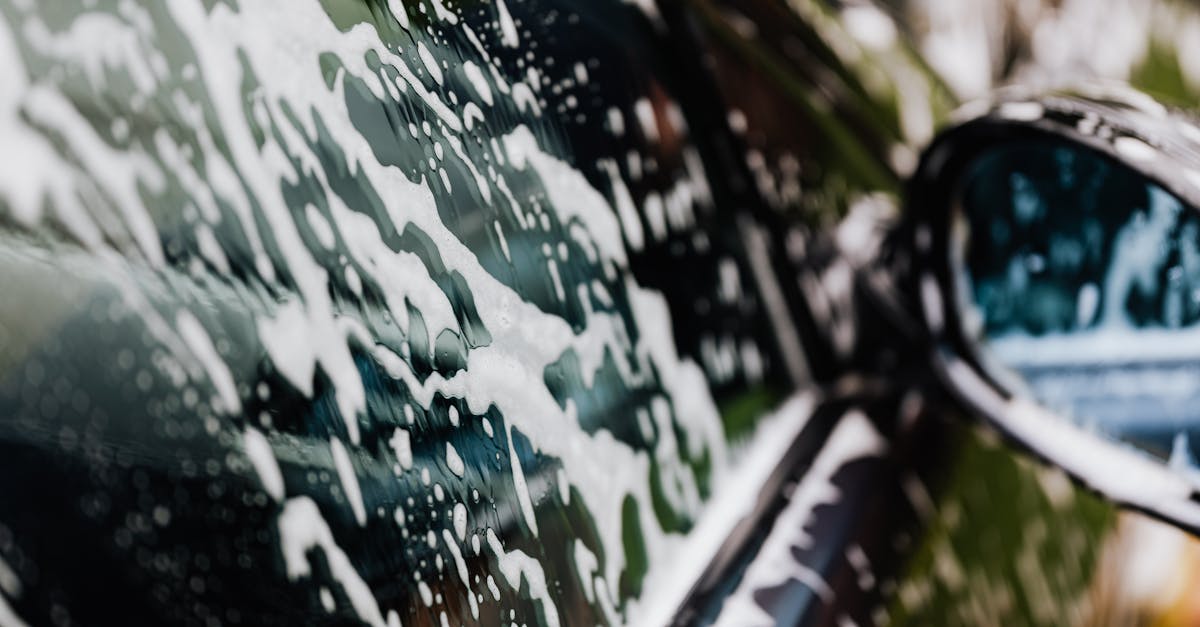 Things to do and places to visit in Perkins, Tallahassee